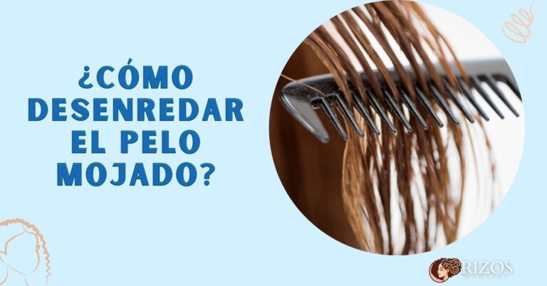 ¿Cómo desenredar el pelo mojado? 8 Consejos y Productos