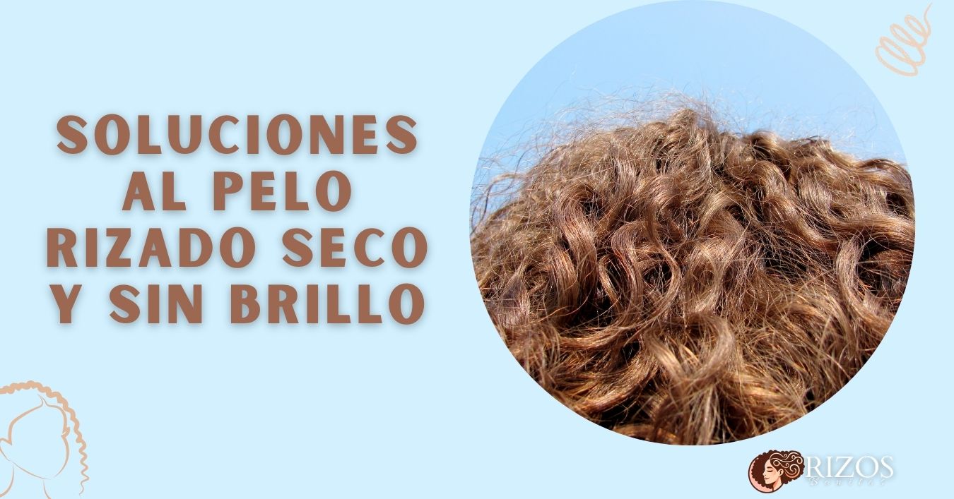 soluciones pelo rizado seco sin brillo